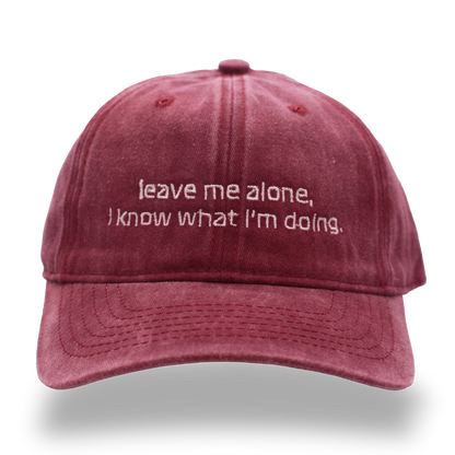 leave me alone, I know what I’m doing.