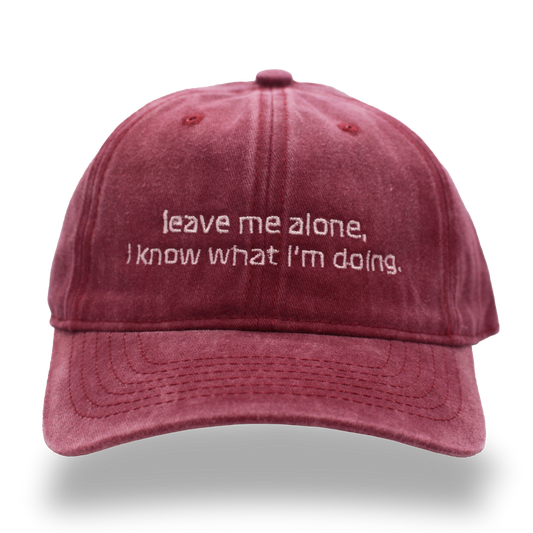 leave me alone, I know what I’m doing.